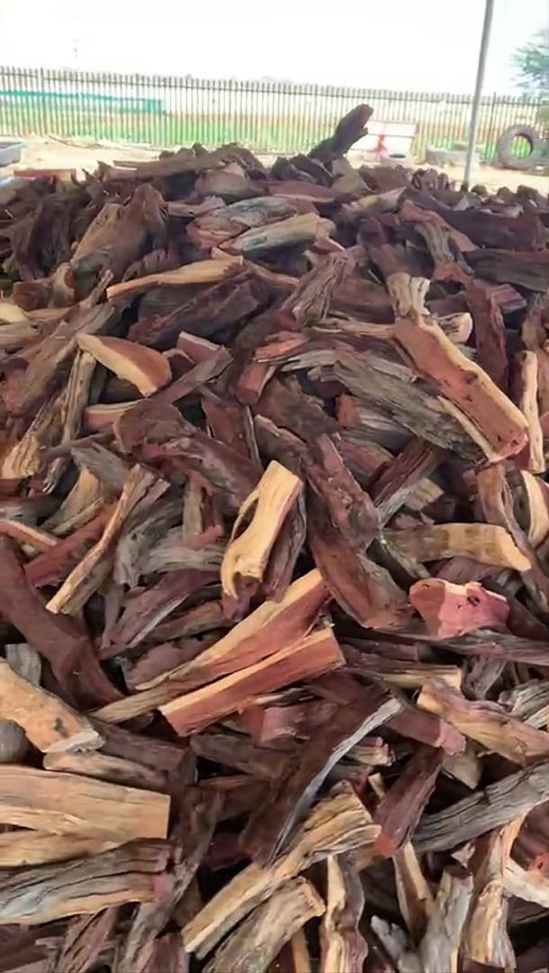 Timber Logs